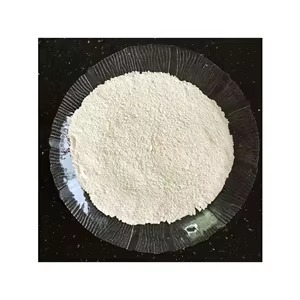 WhatsApp Image 2026 02 25 at 10 11 22 AM